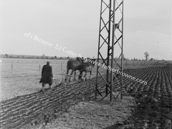 PLOUGHING WITH HORSES; ESB PLYON